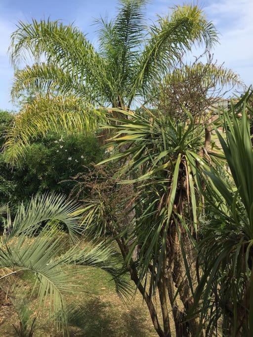 Mare E Monte , Jardin Mediterraneen Et Exotique. Ghisonaccia Exterior photo